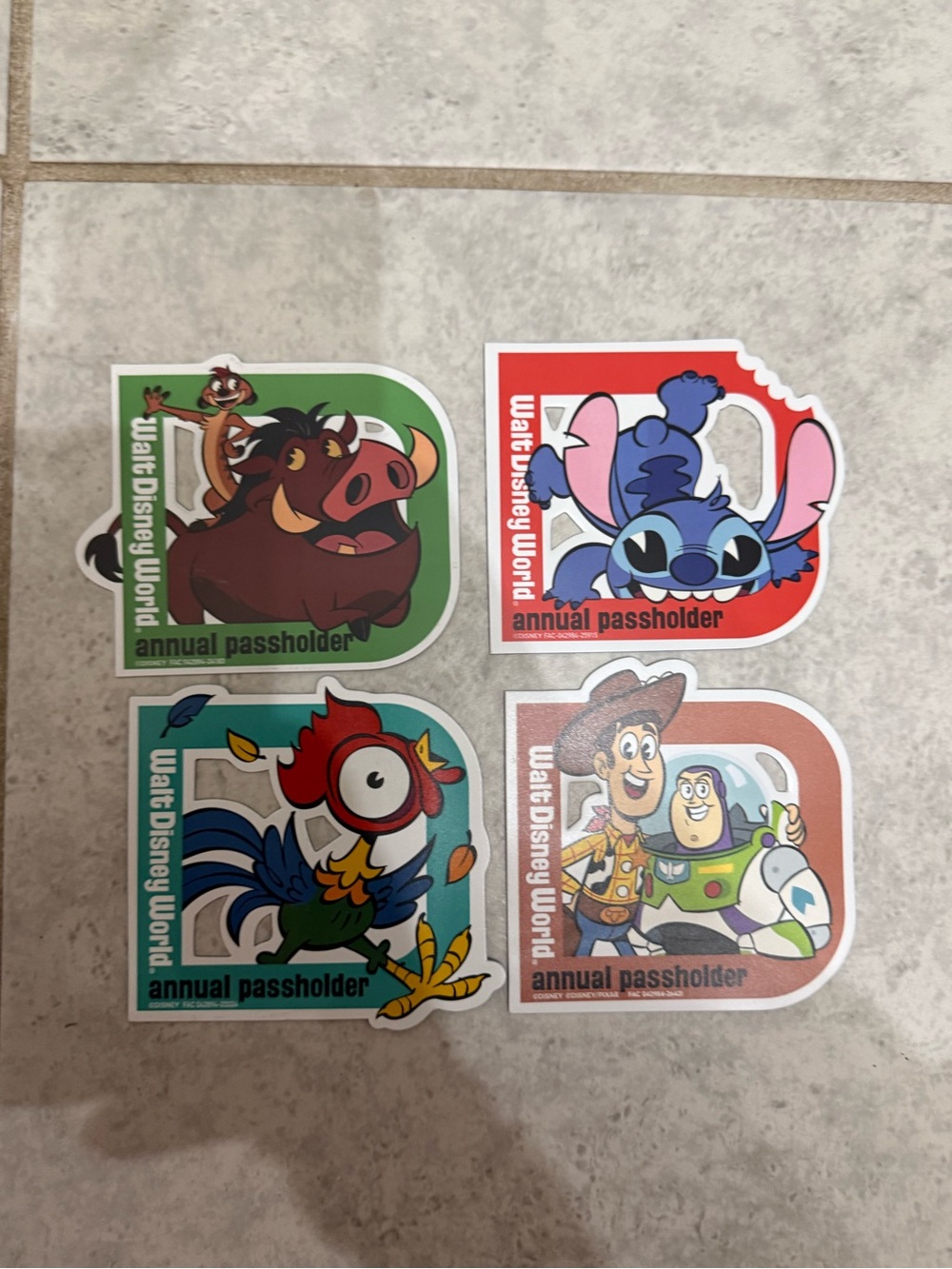 Set of 4 Disney world passholder magnets